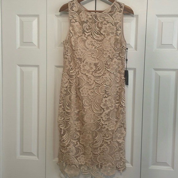 SOLD. New ADRIANNA PAPELL Champagne Lace Dress size 10 - Picture 3 of 17